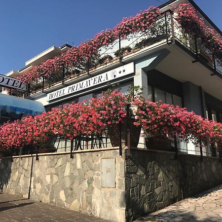 Hotel Primavera Ντεζεντσάνο ντελ Γκάρντα Εξωτερικό φωτογραφία
